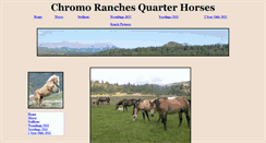 Desktop Screenshot of chromoquarterhorses.com