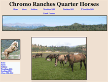 Tablet Screenshot of chromoquarterhorses.com